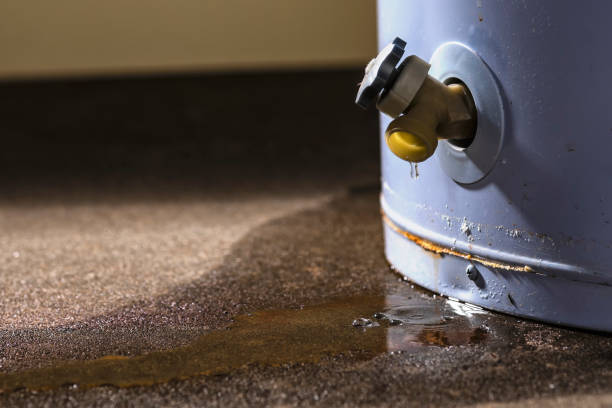 Best Fire Damage Restoration  in Hasson Heights, PA