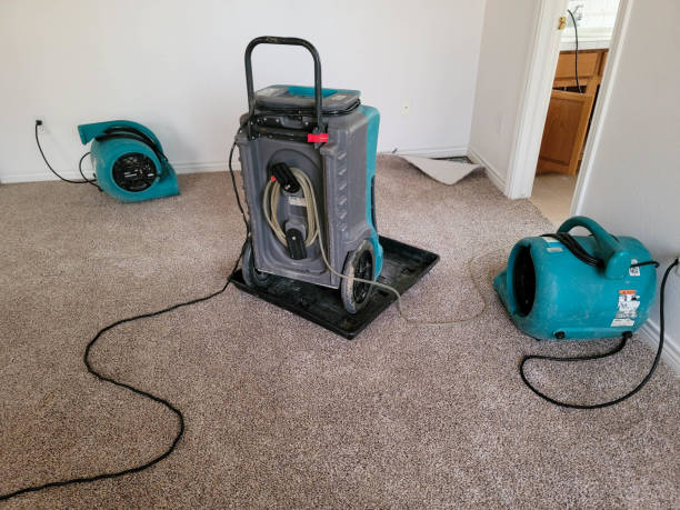 Best Flooded house restoration  in Hasson Heights, PA