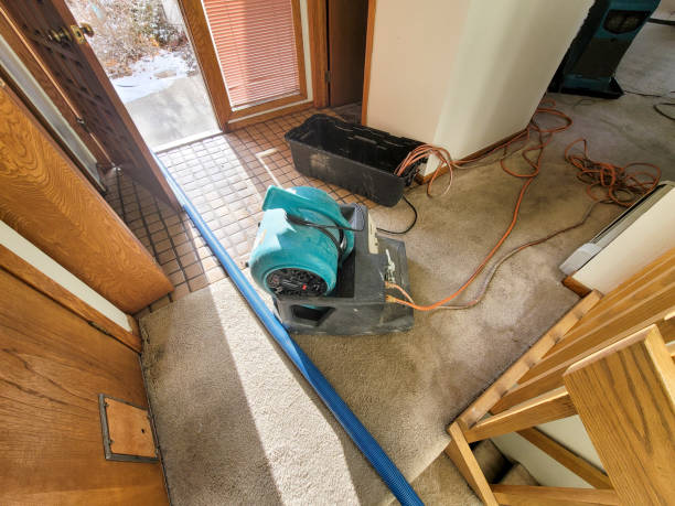 Best Carpet water damage restoration  in Hasson Heights, PA