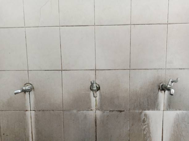Best Flood damage cleanup  in Hasson Heights, PA