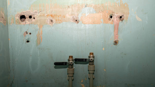 Best Water damage mitigation services  in Hasson Heights, PA